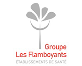 09 logo les flamboyants gesr france